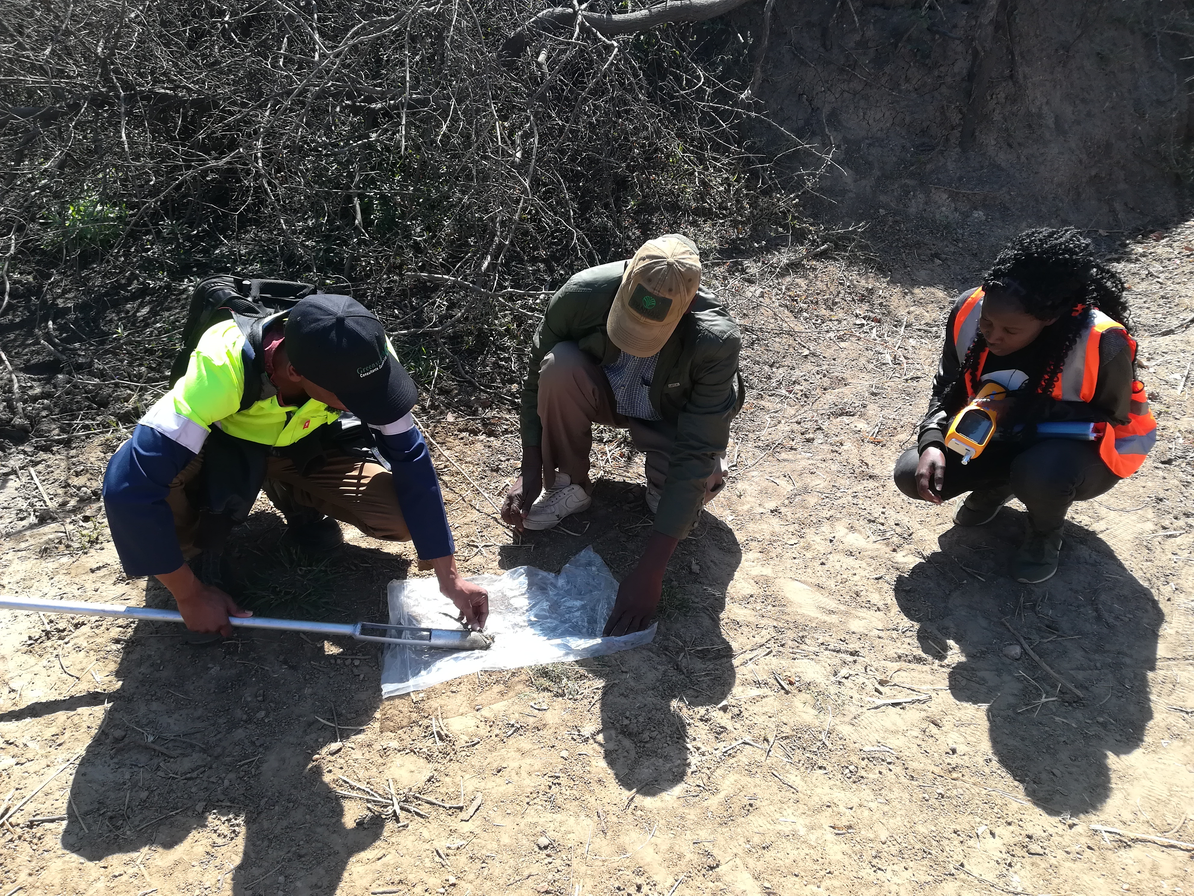 Environmental Assessment Project